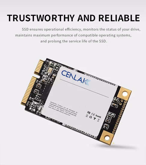 OEM ODM 2tb Computer Hard Disk Internal Msata SSD