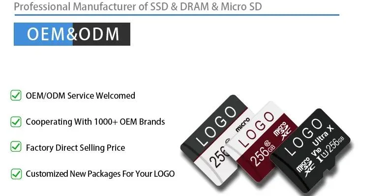 Mulberry Free Micro Samples Bulk 1GB 4GB 16GB 64GB 128GB SD TF Card Wholesale 2GB Memory Card