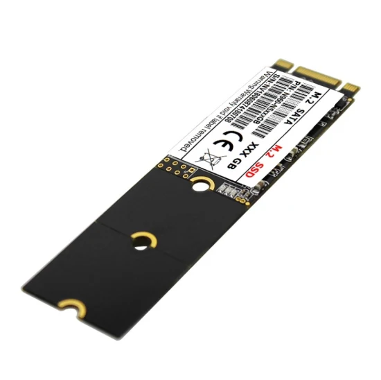 128GB/256GB M. 2 Ngff 2280 Chipstark Bulk Price SSD